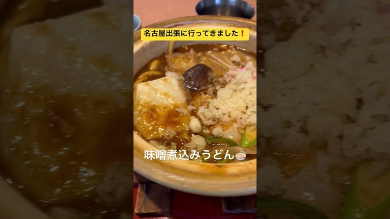 名古屋メシは最高#shorts #food #foodclips #名古屋 #味噌煮込みうどん #味噌カツ #手羽先