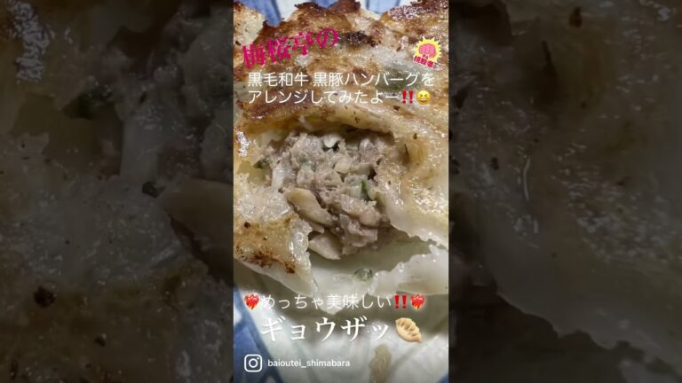 梅桜亭のハンバーグ🚩アレンジギョウザッ🥟‼️ #時短レシピ #ギョウザ #ハンバーグ #shorts #お取り寄せグルメ