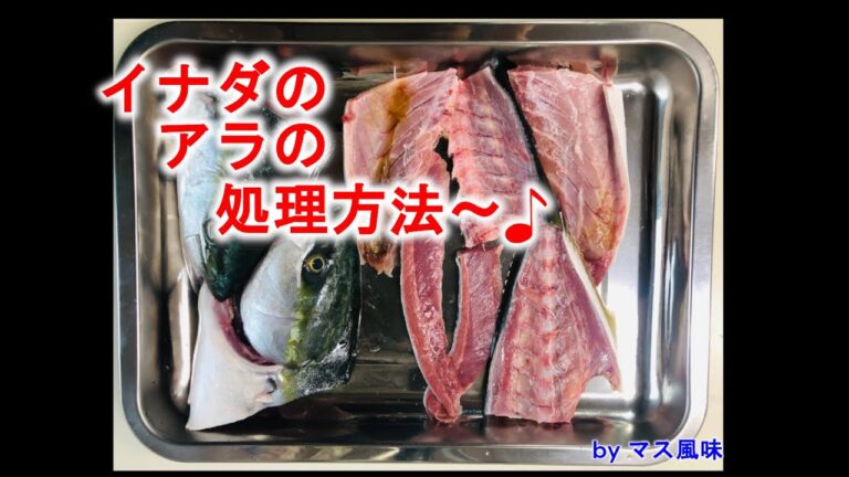 【魚捌き動画】イナダのアラの処理方法
