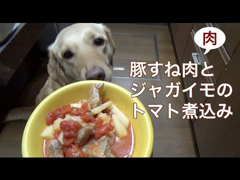 犬の手作りごはん | 豚すね肉とジャガイモのトマト煮込み