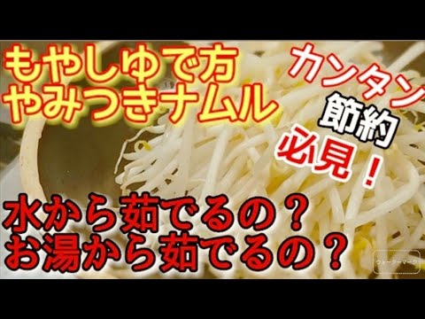 【やみつきもやし】意外と知らない！もやしを茹でるのは水orお湯？無限もやしナムル作り方