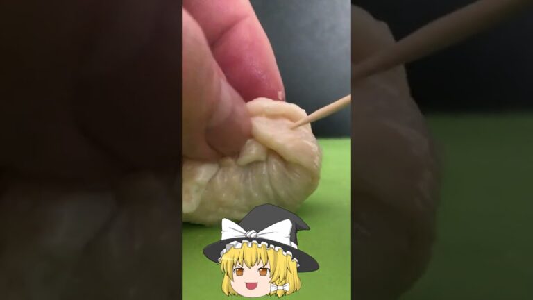 #Shorts　鶏皮のネギ巻き