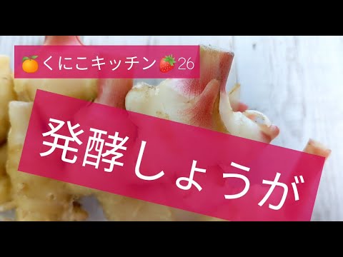 くにこキッチン26 【発酵しょうが】免疫力アップにお勧めのしょうが。冷蔵庫で干からびているしょうがを作らない!　画期的な方法です✨ただ、すりおろすだけだけどね（笑）