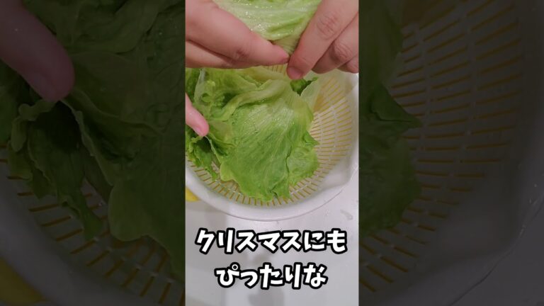簡単！映える！クリスマスにもぴったりサラダ💖#Shorts