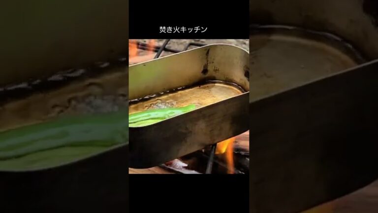 こりゃあ　うま～い【インゲン豆の素揚げ】