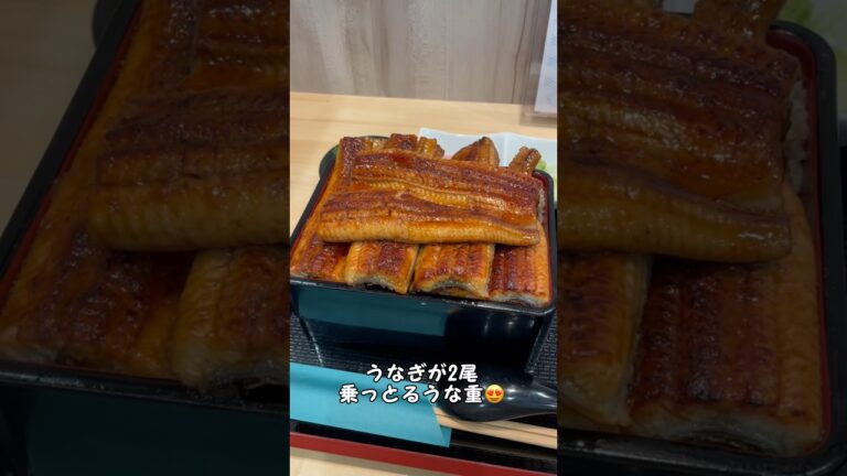 松戸で食べたうな重が最高やった。詳細は説明欄にて。#千葉グルメ #松戸 #うな重 #土用の丑の日 #食いしん坊 #shorts