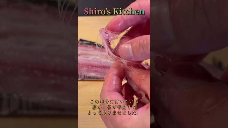 ガイドラインを入れてからイワシの手開き　（腹開き編）　Short  #94
