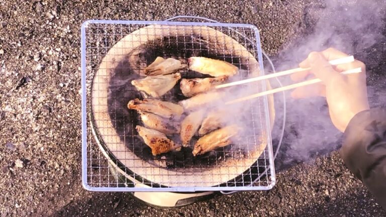 七輪で手羽焼いてみた