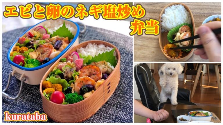 《お弁当作り》エビと卵のネギ塩炒め弁当