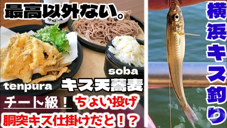 横浜でキス釣り。釣りたて新鮮！究極のキスの天ぷらそばで決めてみる！釣り動画と料理動画のちゃらりんこ‼️