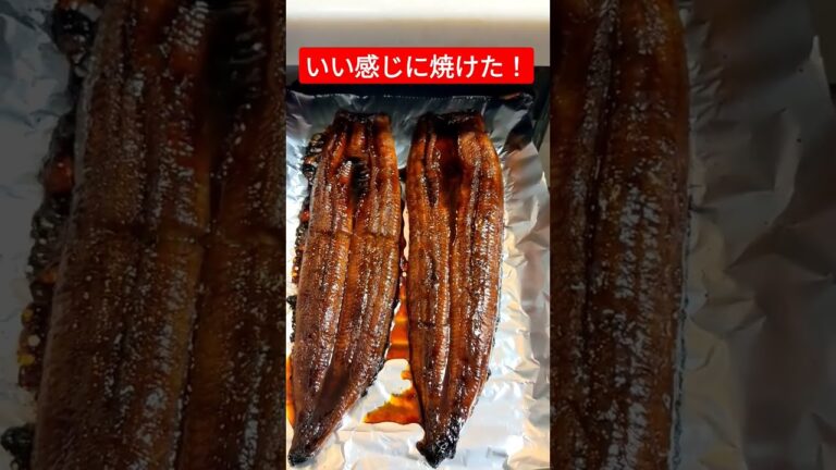 うなぎをグリル で焼くと美味い！ #shorts