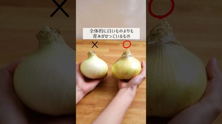 【野菜の選び方】今日使える！新鮮な春キャベツ・新玉ねぎ・アスパラの選び方を30秒で解説！
