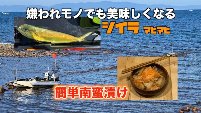【シイラを食べる】嫌われてるシイラを南蛮漬けにして食べてみました。実は最高かも！