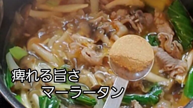 【おうちごはん】痺れる旨さマーラータン‼️ 春雨だから罪悪感なしに食べれる‼️