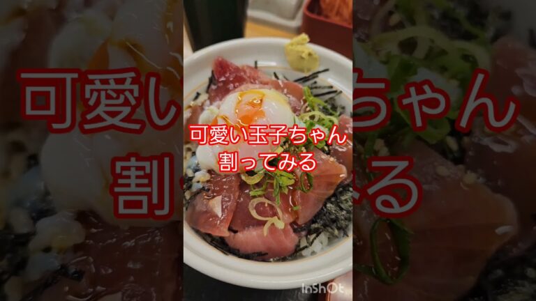 暇なのでなか卯の南まぐろの漬け丼食べに来た笑 #shorts #food #南まぐろの漬け丼 #cat