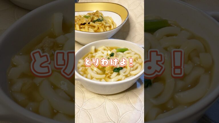 【1歳ととりわけ！カレーうどん】