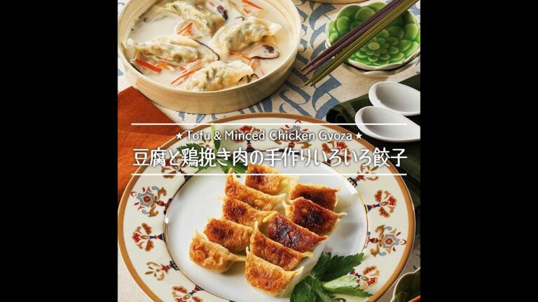 豆腐と鶏挽き肉の手作りいろいろ餃子