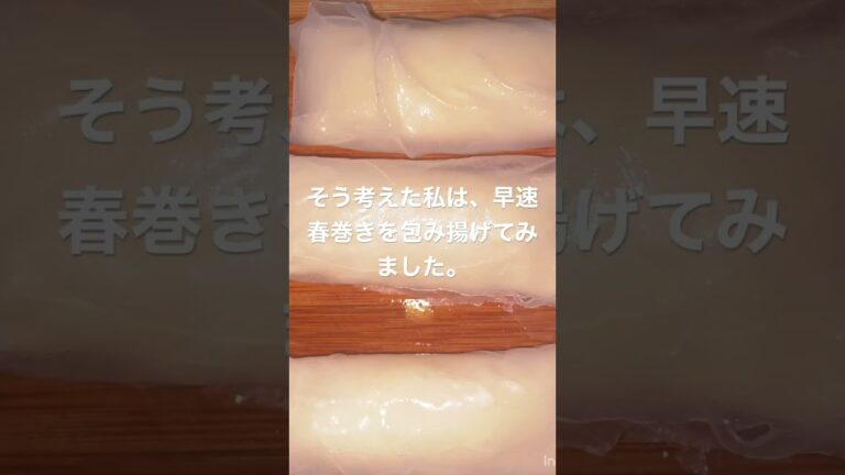 ぽっちゃり女がライスペーパーで春巻きを包んで揚げてみた。