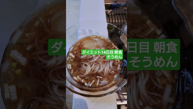 ダイエット14日目 朝食 そうめん
