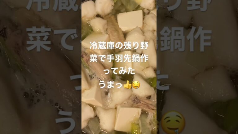 冷蔵庫の残り野菜で手羽先鍋作ってみた