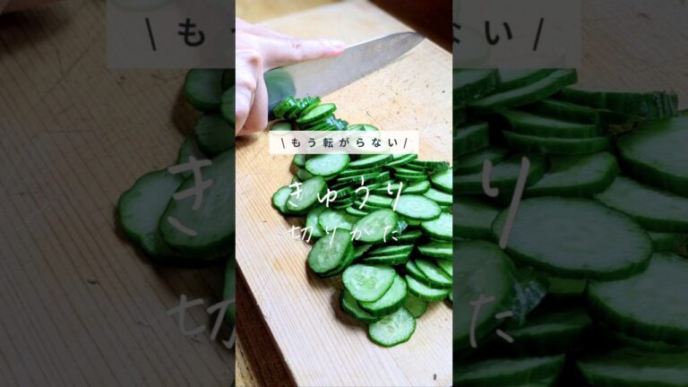 【もう転がらない！きゅうりの切りかた】包丁の持ちかたひとつで劇的にかわります｜#きゅうり #調理テク #調理 #野菜の切り方 #野菜 #簡単レシピ #料理動画 #調理動画 #料理 #調理 #包丁