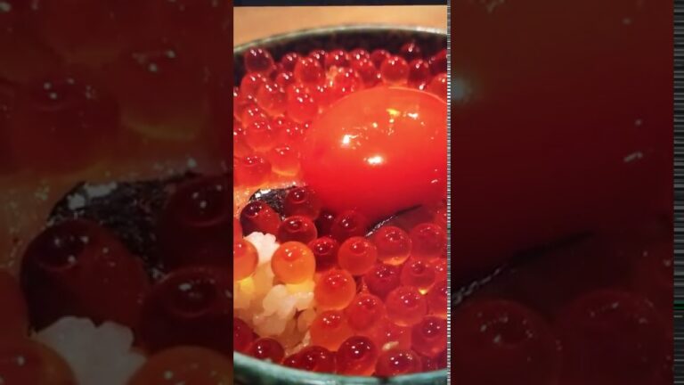 高級イクラ丼 極上の美味しさを堪能してくだ Salmon roe bowl Bowl of rice topped with sashimi 海鮮丼