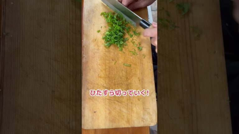 ごはんがすすむ！夏バテ防止レシピ#shorts #北海道 #農業 #きゅうり #なす #料理 #大量消費