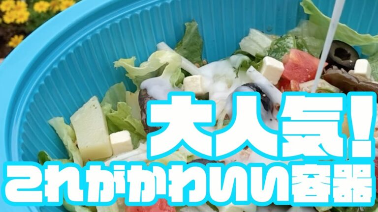 エフピコ新製品紹介／大人気のあの容器・・・ついに『DLV楕円新柄』