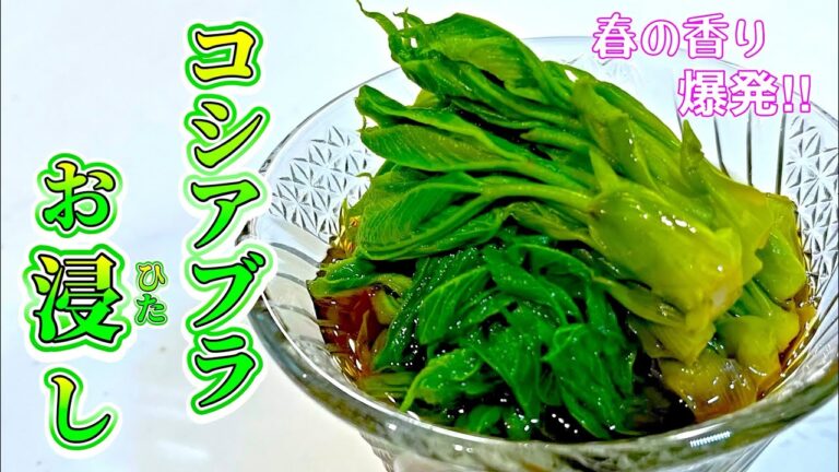 【山菜レシピ】この香りがたまらんのよ｡｡｡ 超簡単！『コシアブラお浸し』