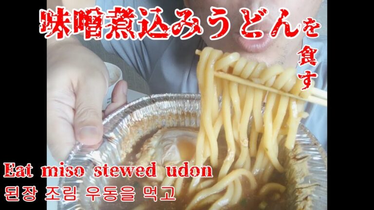 【MUKBANG】味噌煮込みうどんを食す【EATING SHOW】
