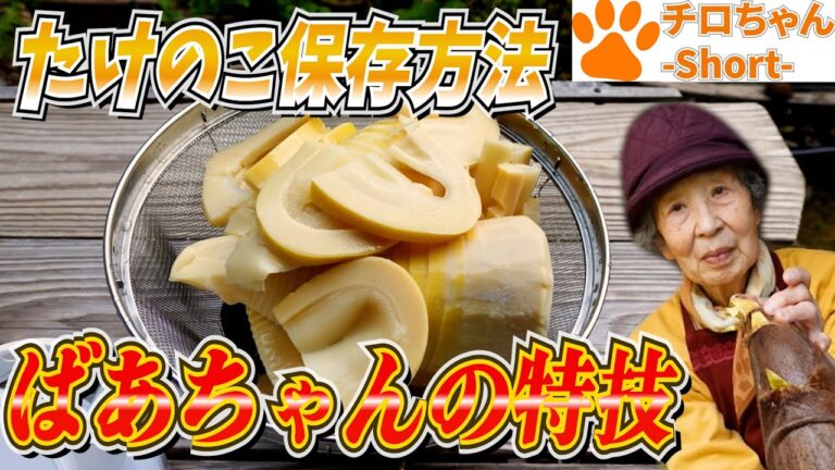 ばあちゃんがたけのこの保存方法を教えてくれた。#shorts