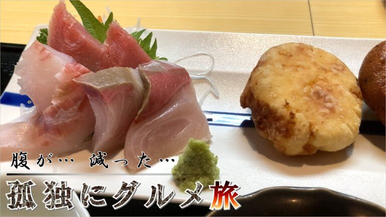 海老しんじょうとサイコロステーキ『孤独にグルメ旅』 食事処 呑み処 ひなた 栃木市