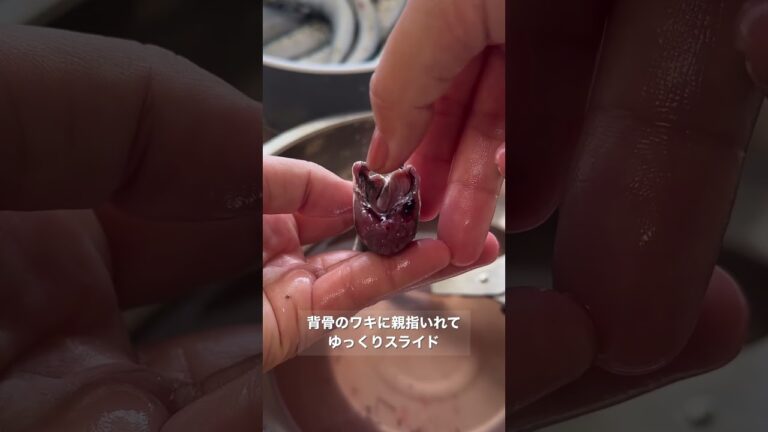 釣ったイワシ捌くの包丁いらないよ。#魚捌き