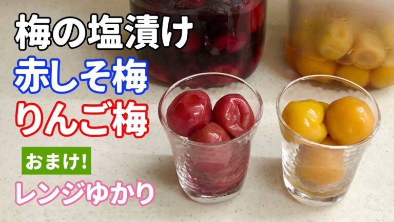 梅の塩漬け　赤しそ梅　りんご梅　レンジゆかり しそふりかけ