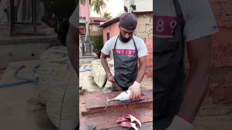 Mackerel Tuna Cutting Man Machine