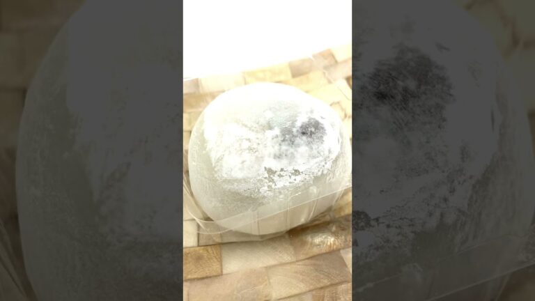 【ショートバージョン】渋皮栗のモンブラン大福