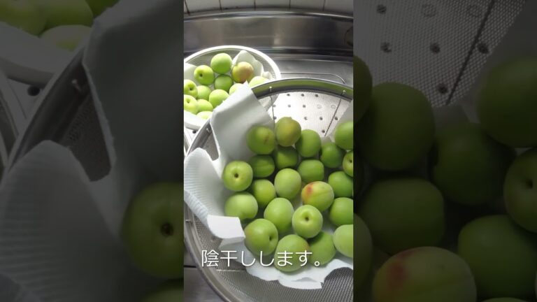 梅のはちみつ漬けの作り方／ばあちゃんの料理教室 #shorts