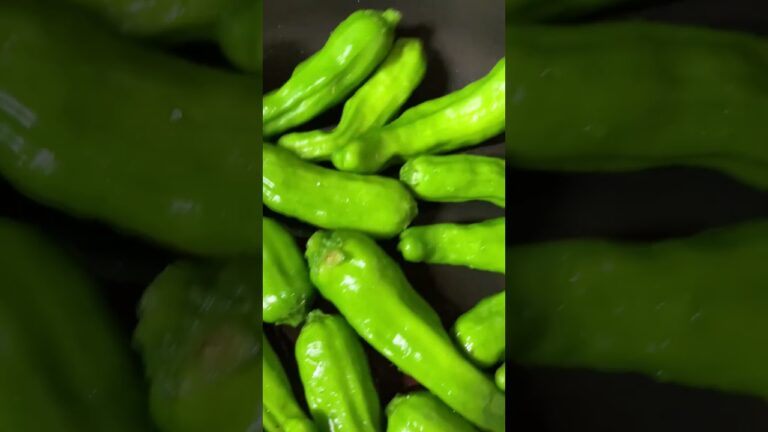 QUICK COOK ☆ししとうきんぴらレシピ①☆ 家庭菜園採れたて獅子唐の料理  cooking vegetables( green pepper ) from farm 2023.07.02