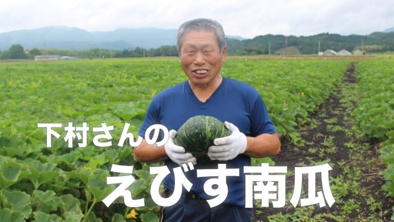 【旬の美味しさにこだわる旬すぐ（国産100％）】（三重県度会郡玉城町）ホクホク食感のえびす南瓜