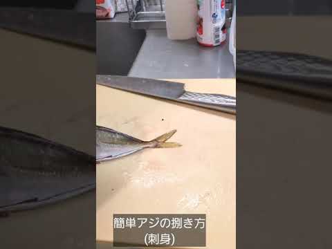 200万回再生！アジなんて秒で捌け！おらアジのウルトラめちゃんこ早い捌き方