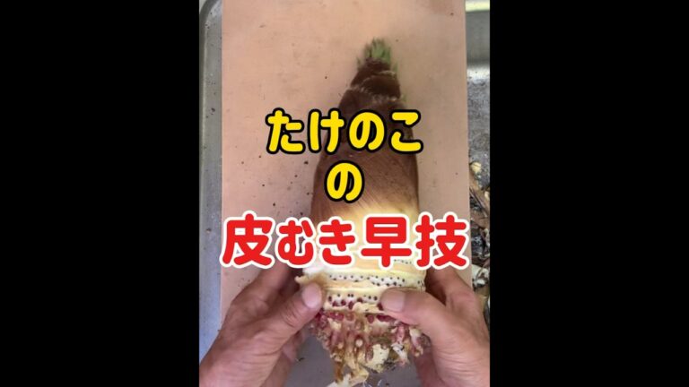 ⭕️タケノコの皮むき早技　簡単で早いです#タケノコ#タケノコの皮むき
