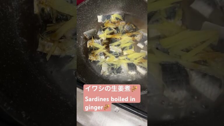 イワシの生姜煮を作る🫚 Sardines boiled in ginger🫚　#cooking #料理 #asmr