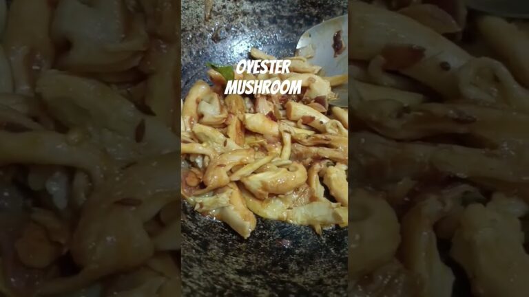 Mushroom(Oyester) 🍄 EASIEST RECIPE for Beginners #homemadefood #organiclifestyle