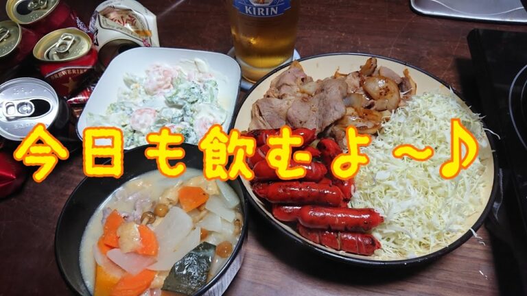 #黒ビール 赤ウィンナー、豚のしょうが焼きとビールと時々ボク。  【ガチ呑み】【呑み動画】