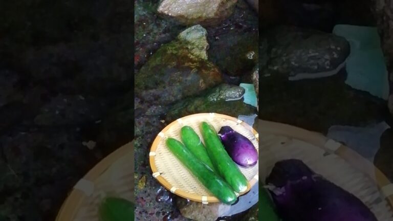 きゅうり🥒となす🍆を湧き水で冷やしてます。