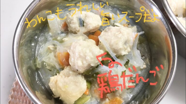 ヘルシオでわんこご飯ver2  鶏団子の春雨スープ