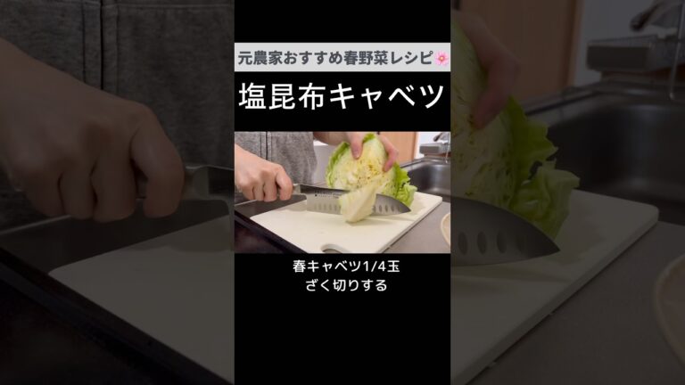 やみつきの美味しさ！春キャベツの塩昆布あえ