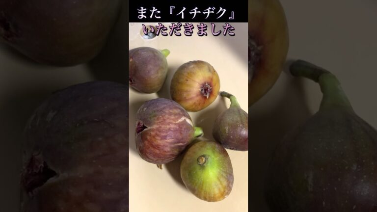 『イチヂク』いただきました〜。赤ワイン煮のコンポート。サッと出来上がって美味しいです。そのままでも、ヨーグルトと一緒でも！ #手作り #いちじく #ジャム #コンポート#赤ワイン#ロゼ #お菓子作り
