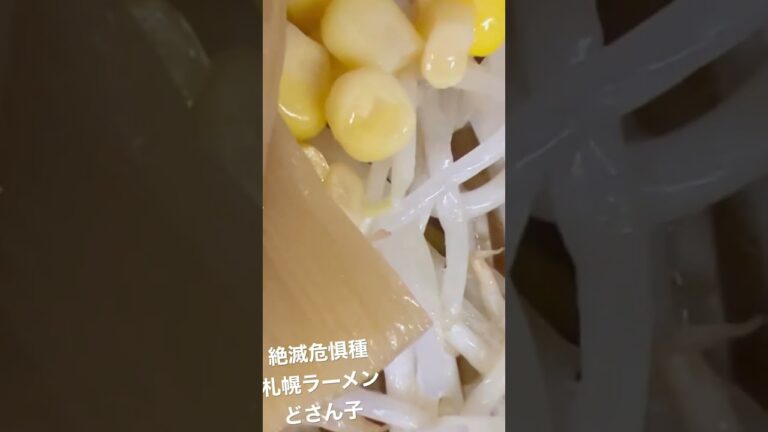 もはや絶滅危惧種、札幌ラーメンどさん子
