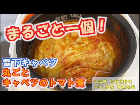 『雪下キャベツ』まるごとキャベツのトマト煮/レシピ：北海道 富良野 メロン農家の寺坂農園